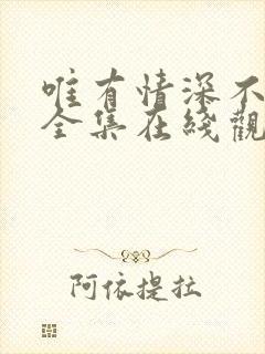 唯有情深不可负全集在线观看