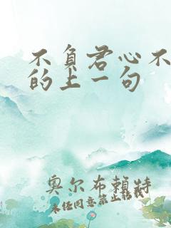 不负君心不负卿的上一句