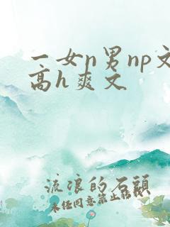 一女n男np文高h爽文
