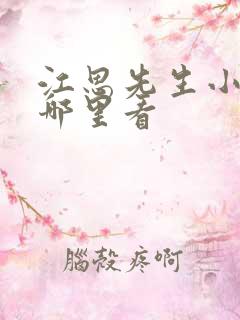 江思先生小说在哪里看