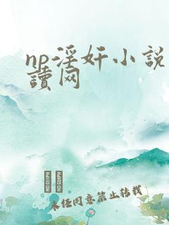 np淫奸小说阅读网