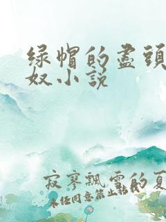 绿帽的尽头是绿奴小说