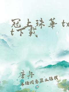 冠上珠华 txt下载