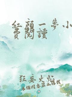 红颜一梦小说免费阅读