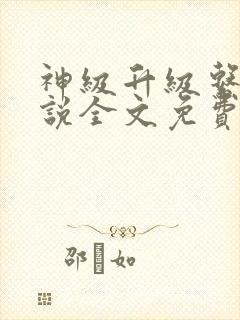 神级升级系统小说全文免费阅读