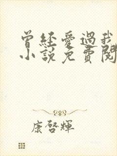 曾经爱过我刘念小说免费阅读