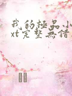 我的极品小姨txt完整无错版