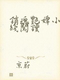 销魂艳婢小说在线阅读