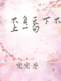 不负天下不负卿上一句