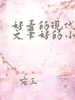 好看的现代言情文笔好的小说