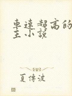 车速超高的双男主小说