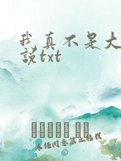 我真不是大佬小说txt