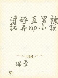 灌醉直男被下药玩弄np小说