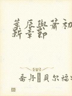 叶辰与萧初然最新章节