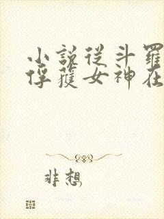 小说从斗罗开始俘获女神在线阅读