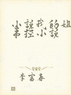 小说我的姐姐很弟控小说