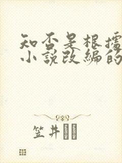 知否是根据什么小说改编的