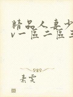 精品人妻少妇av一区二区三区