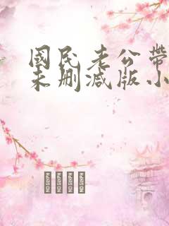国民老公带回家未删减版小说