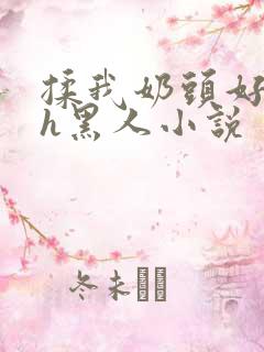 揉我奶头好爽嗯h黑人小说