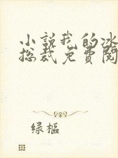 小说我的冰山女总裁免费阅读