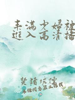 丰满少妇被猛烈进入高清播放小说