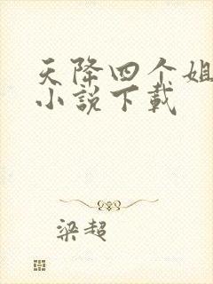 天降四个姐姐 小说下载