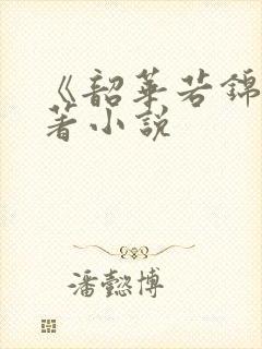 《韶华若锦》原著小说