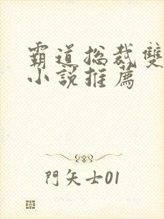 霸道总裁双男主小说推荐