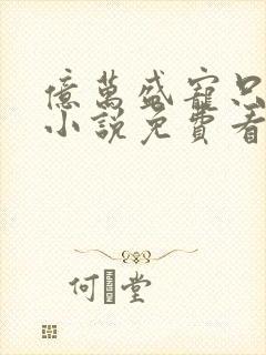 亿万盛宠只为你小说免费看