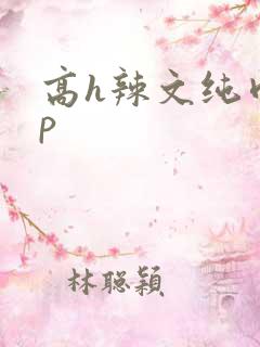 高h辣文纯肉np