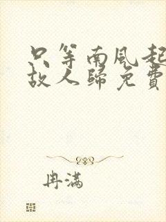 只等南风起不等故人归免费阅读