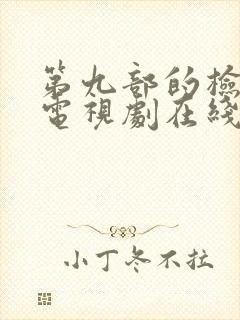 第九部的检察官电视剧在线观看免费