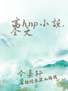 高hnp小说.全文