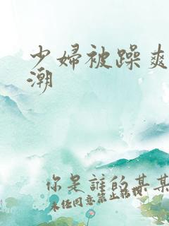 少妇被躁爽到高潮