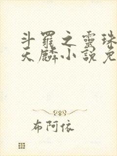 斗罗之灵珠神剑天麟小说免费阅读全文无窗口