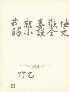 我就喜欢他那样的小说全文免费阅读