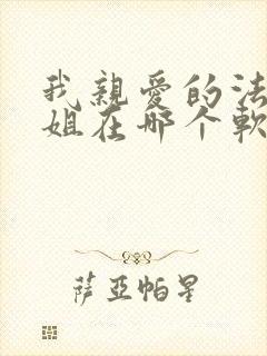 我亲爱的法医小姐在哪个软件看小说