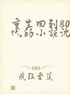 重生回到80年代的小说沈林