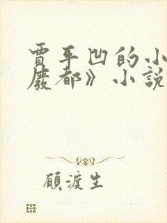 贾平凹的小说《废都》小说免费阅读