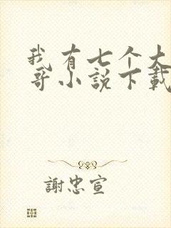 我有七个大佬哥哥小说下载txt