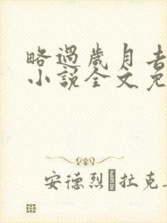 略过岁月去爱你小说全文免费阅读