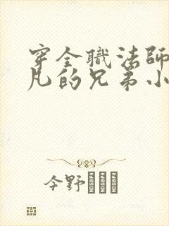 穿全职法师成莫凡的兄弟小说