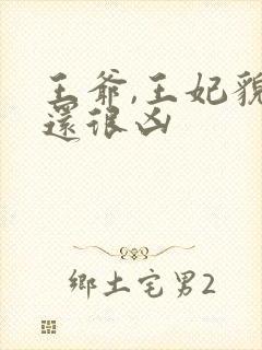 王爷,王妃貌美还很凶