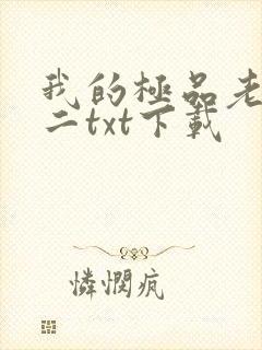 我的极品老婆小二txt下载