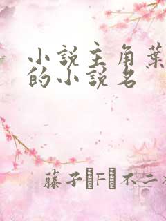 小说主角叶无道的小说名
