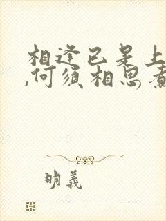 相逢已是上上签,何须相思煮余年全诗