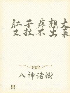 肚子疼想大便,又拉不出来,怎么回事