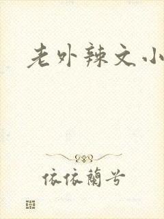 老外辣文小说