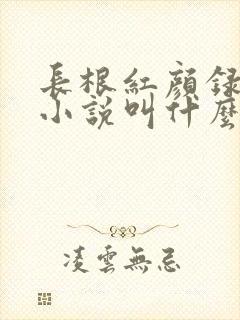 长根红颜录原著小说叫什么名字